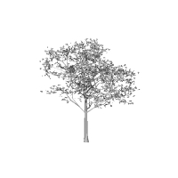 樹木１.stl