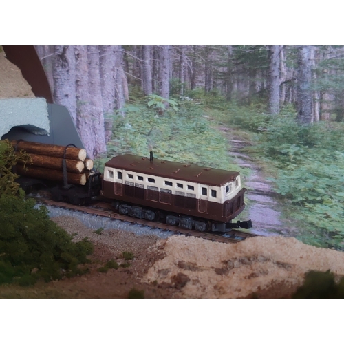 Nナロー向け　森林鉄道機関車タイプ２