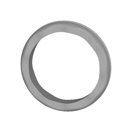 17号Ring Wooper Jewelrys 001