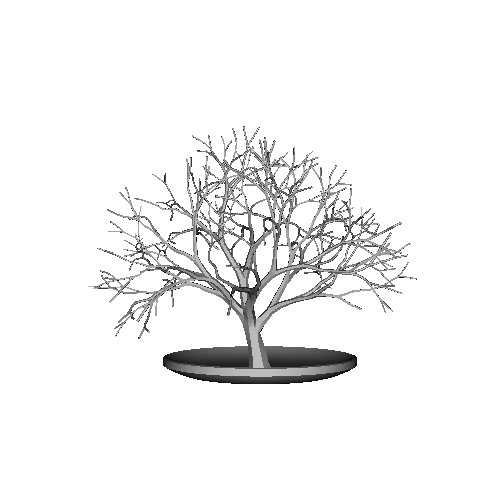 Tree_model01.obj