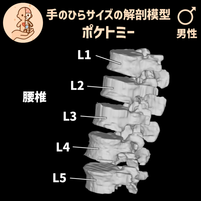 c63754373bad0e417d8a7ab983e63ae9_20250401184732949.png