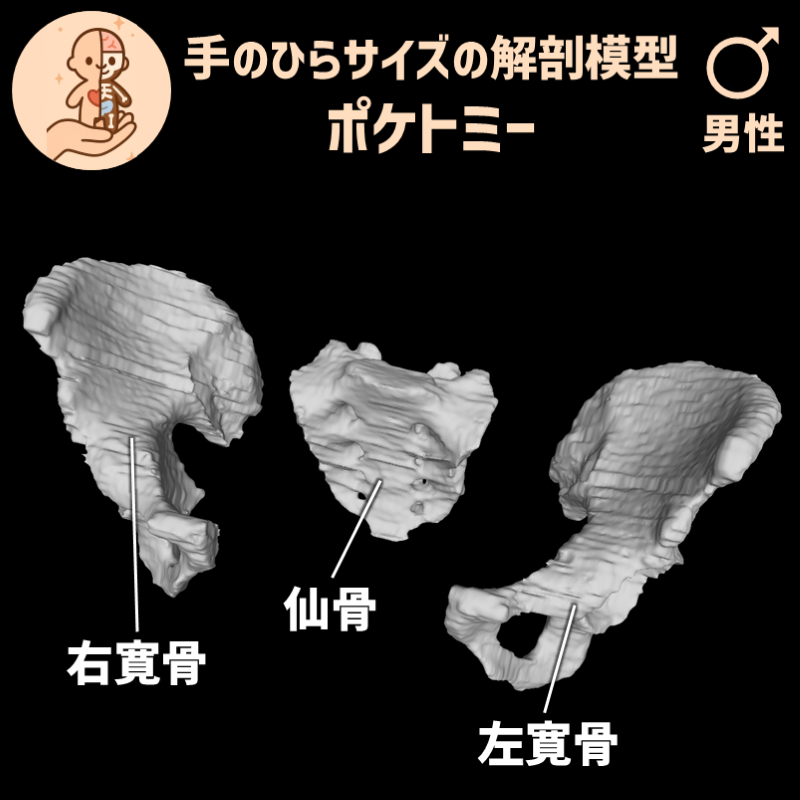3eaa1d6c444a09f437d573bc653aba92_20250401184330414.png