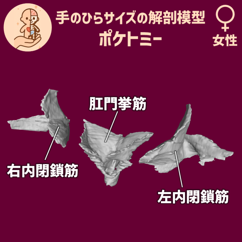 24e0b68c57ffbfb84fb5d7ab76a04bce_20250527185024270.png