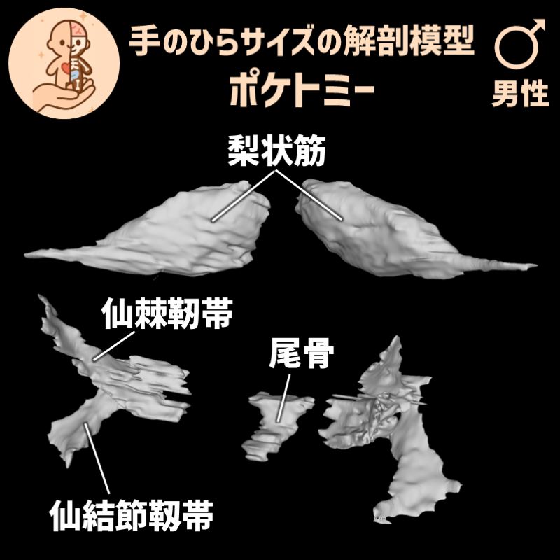 c3ec75408d7489ac5c1669435216a778_20250527184909928.png