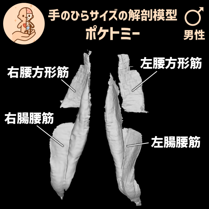 c3ec75408d7489ac5c1669435216a778_20250401184814386.png