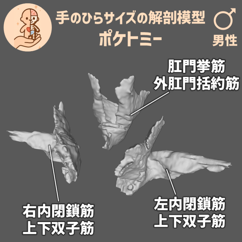 8f14939affc57124424f215e830cd458_20250515105020055.png