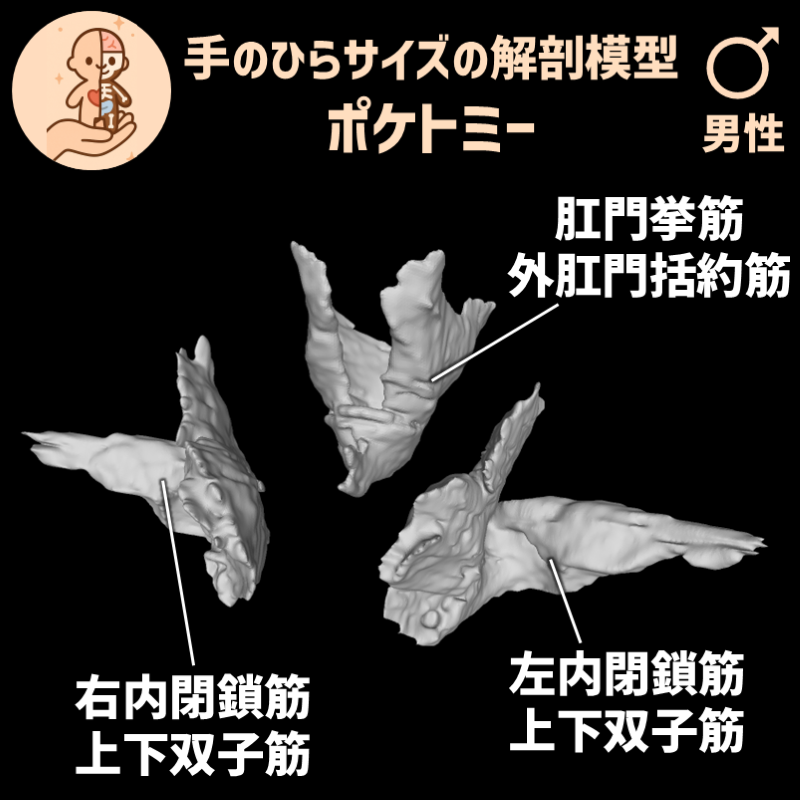 fcd9cfff82c71dd5fa120e37c85184cb_20250401184556172.png
