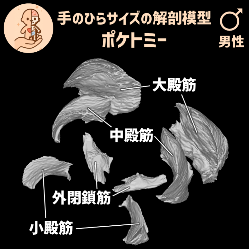8f14939affc57124424f215e830cd458_20250401184858675.png