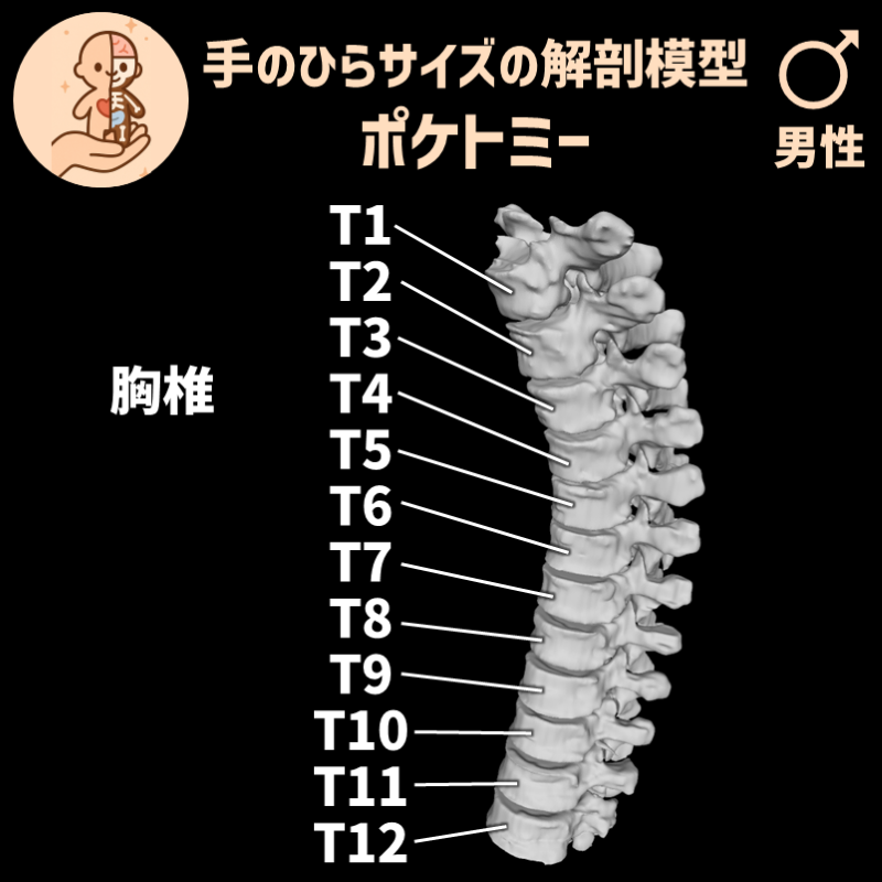 8f14939affc57124424f215e830cd458_20250527185001287.png