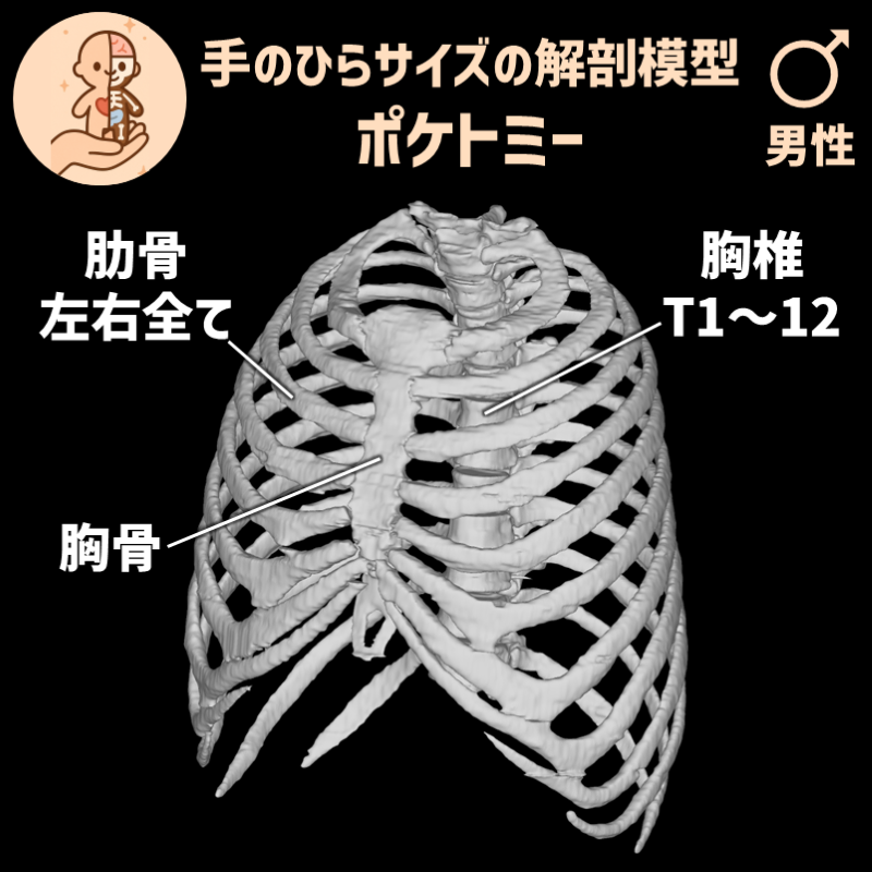 24e0b68c57ffbfb84fb5d7ab76a04bce_20250401184937985.png