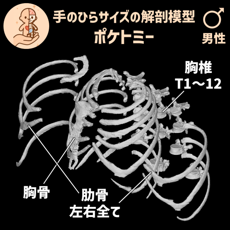 3eaa1d6c444a09f437d573bc653aba92_20250603185611065.png
