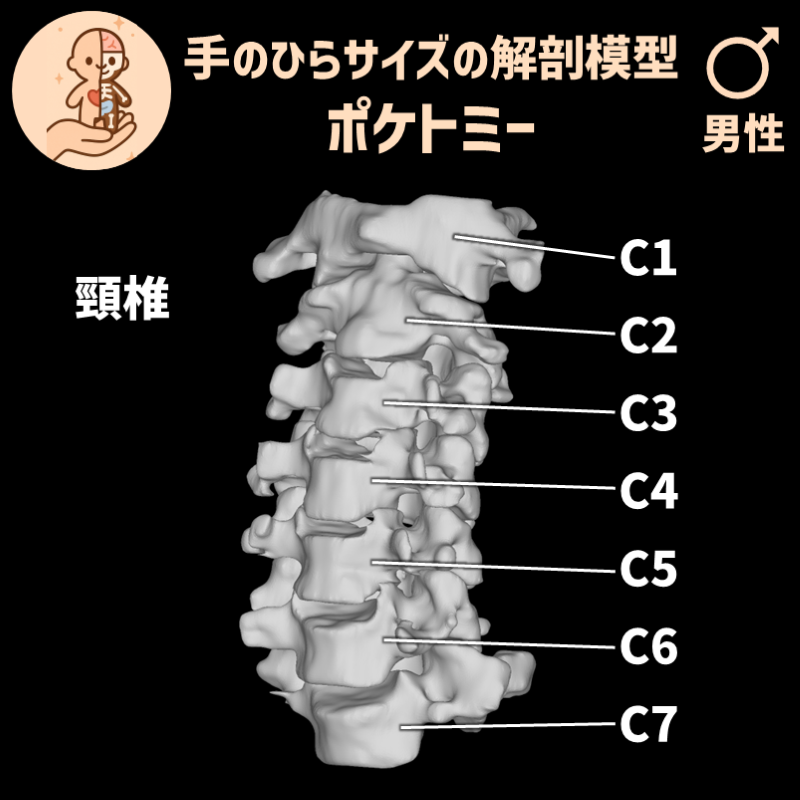 77fd925c01c81eb9156d089fafa51dfc_20250401185018792.png