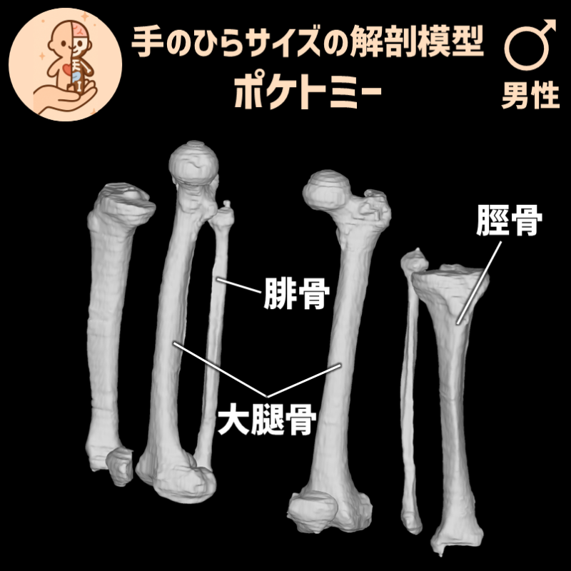 c63754373bad0e417d8a7ab983e63ae9_20250527184848902.png