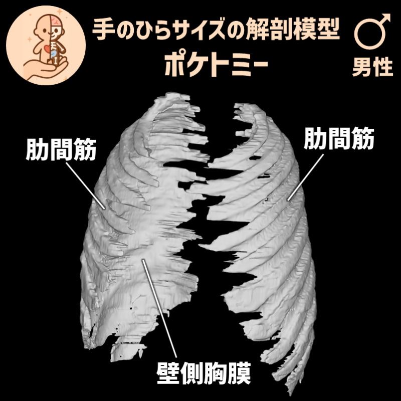 6eabf8d78ffe14028307dd9e43c8439a_20250401185046226.png