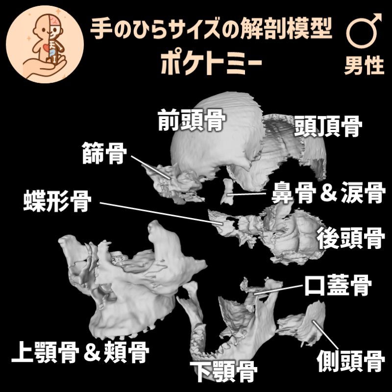 c63754373bad0e417d8a7ab983e63ae9_20250515104635241.png