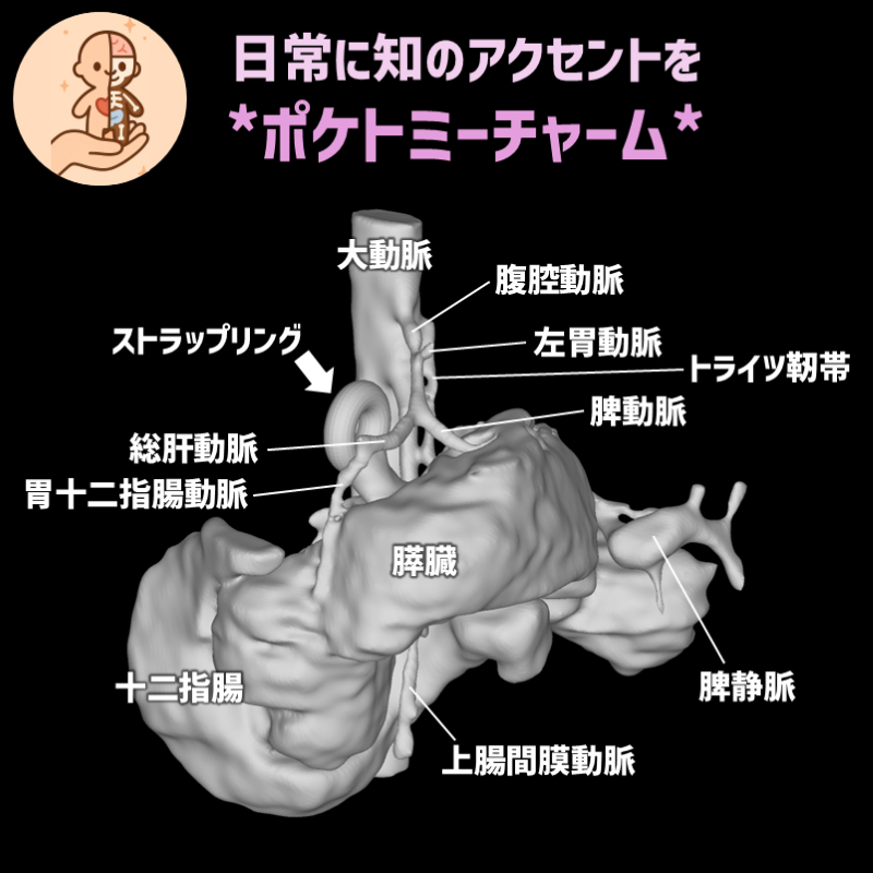 3eaa1d6c444a09f437d573bc653aba92_20250521110040437.png