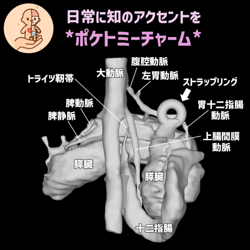 fcd9cfff82c71dd5fa120e37c85184cb_20250521110044690.png
