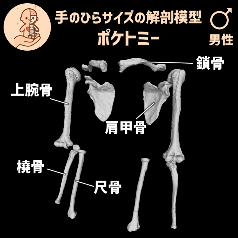 3eaa1d6c444a09f437d573bc653aba92_20250527184742807.png
