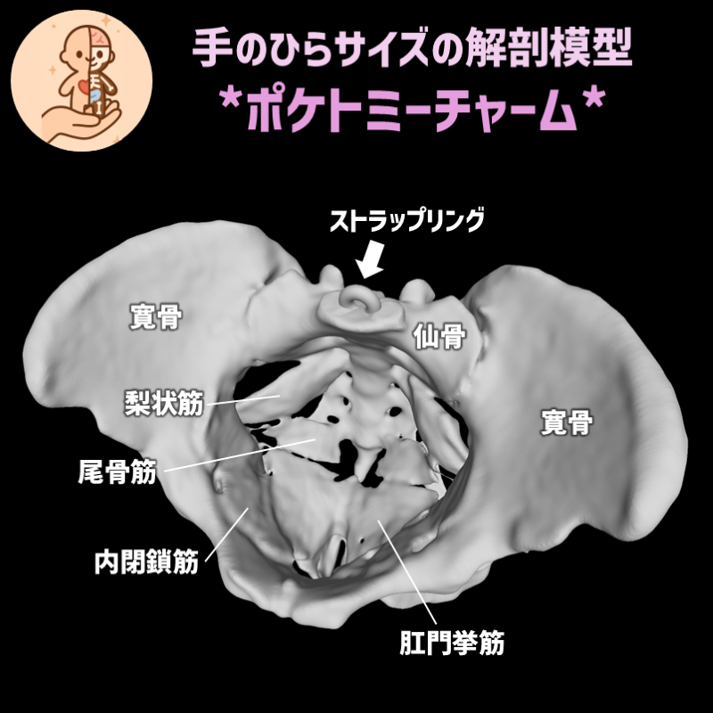 3eaa1d6c444a09f437d573bc653aba92_20250603123156023.png