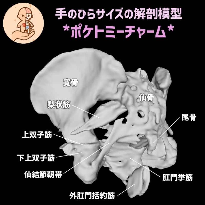 fcd9cfff82c71dd5fa120e37c85184cb_20250603123151680.png