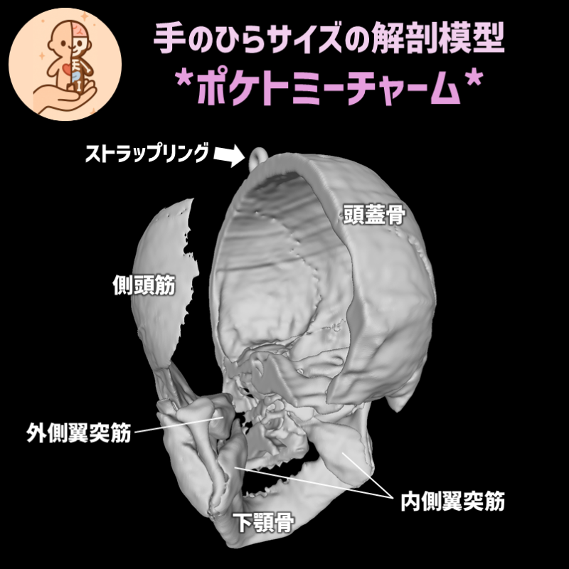 fcd9cfff82c71dd5fa120e37c85184cb_20250707135841401.png