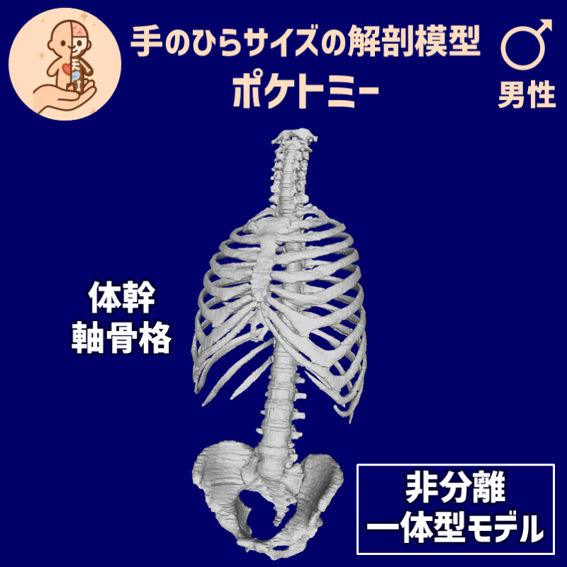 fcd9cfff82c71dd5fa120e37c85184cb_20250602162216891.png