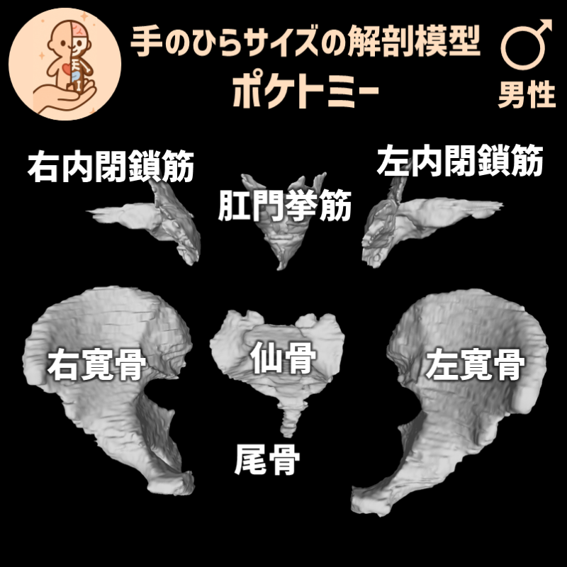 9bf7b903acd889590dcd1fdd09ab113f_20250603103908097.png