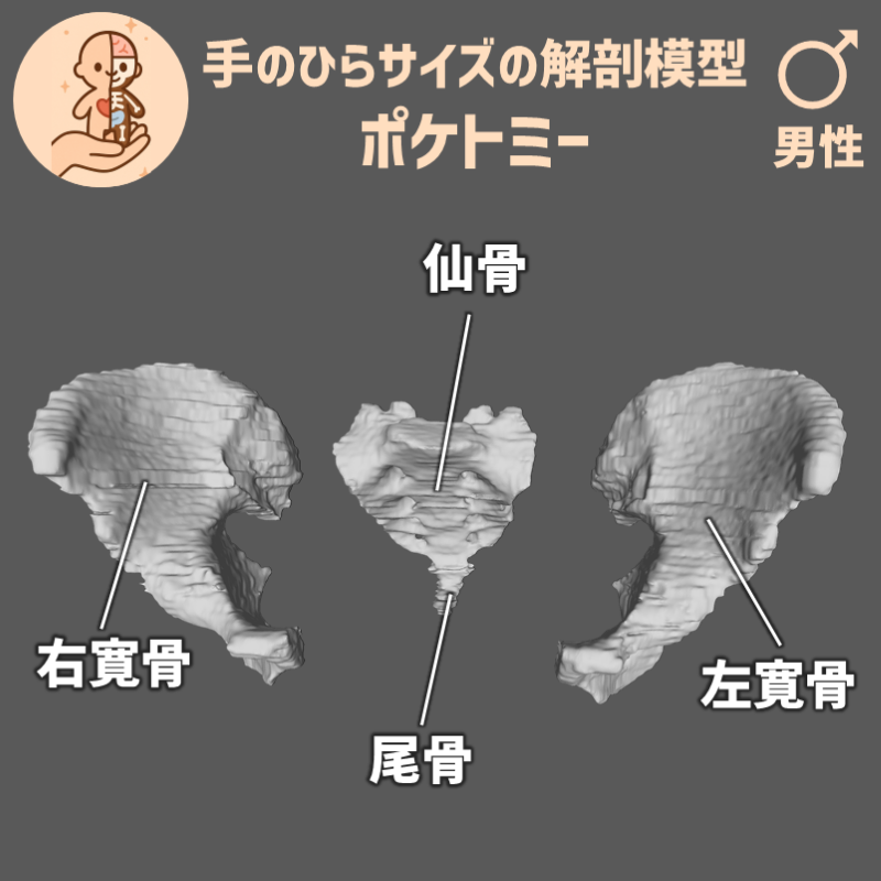 df0bf15f75182c8afb103374ec823d3b_20250603104045679.png