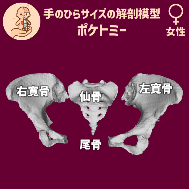 77fd925c01c81eb9156d089fafa51dfc_20250603104003659.png
