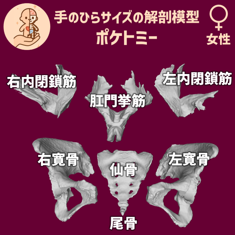 7959baf0e2baa2c1a5d4607554a22bd1_20250603103815744.png