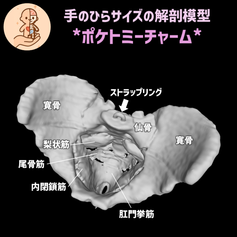 3eaa1d6c444a09f437d573bc653aba92_20260312165526604.png
