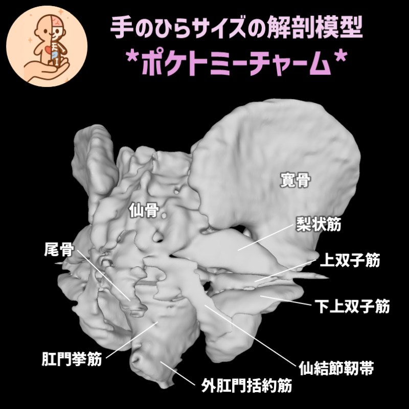 fcd9cfff82c71dd5fa120e37c85184cb_20260312165531575.png