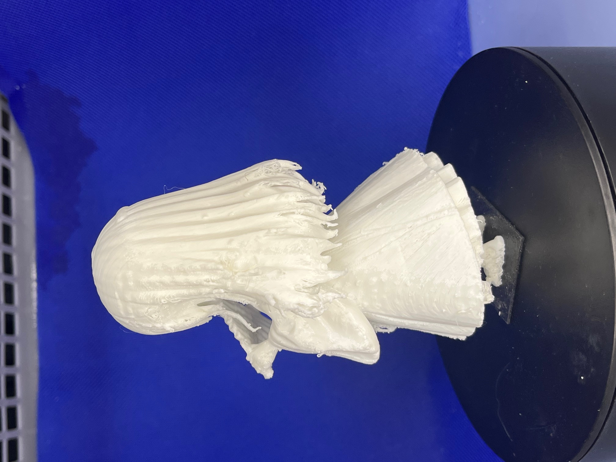 d1c88116284cb75c42826e9166577715_20260311112448605.jpeg