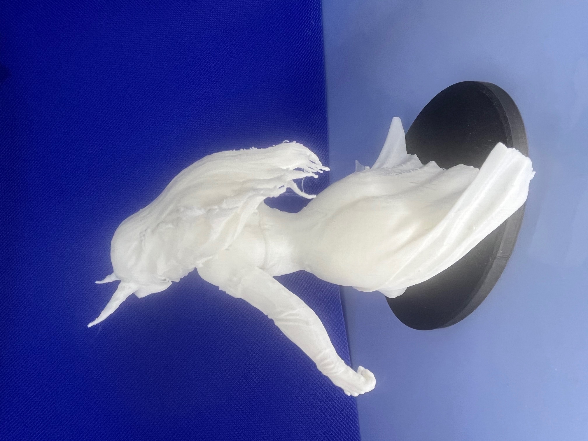 146549af41b06b95056b037c6755d1ed_20260307102145792.jpeg