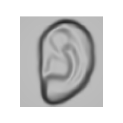 My ear