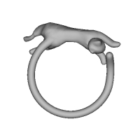 ネコの輪
