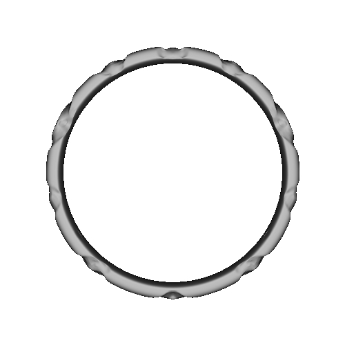 Ancient ring 10号