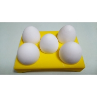 卵置きトレイ(5個)