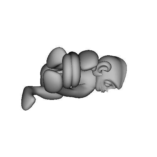 3D-Monkeys 093