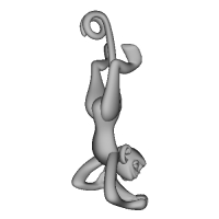3D-Monkeys 193