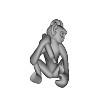 3D-Monkeys 246
