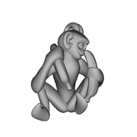 3D-Monkeys 255