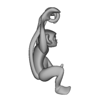 3D-Monkeys 273
