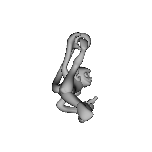 3D-Monkeys 302