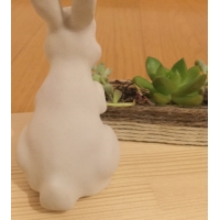 rabbit <うさぎ>