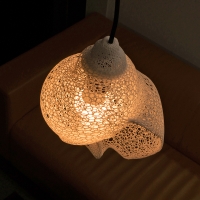 Lamp-Shell