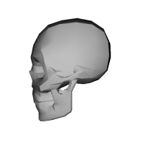 ローポリ頭蓋骨