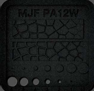 MJF PA12Wホワイト ブラック（磨き）